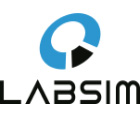LABSIM SAC Logo